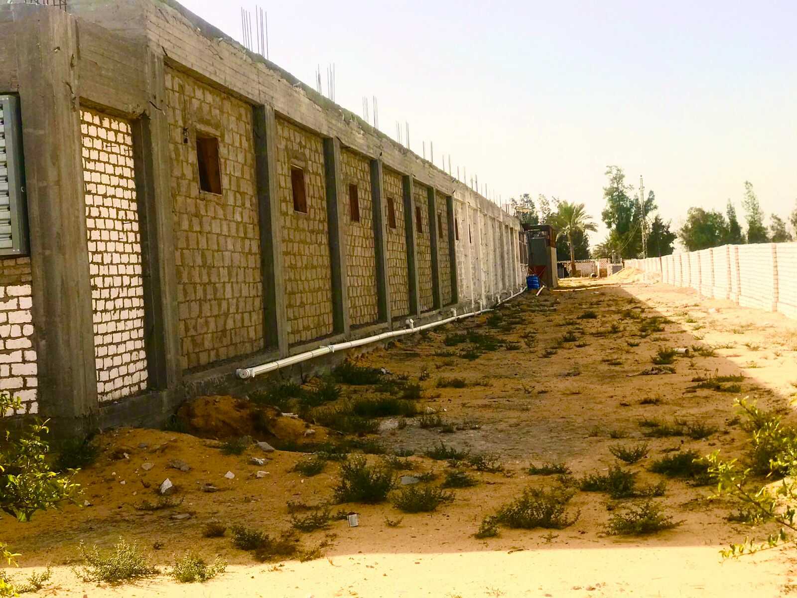 للاستثمار في مزرعة دواجن بياض اتوماتيك كامله