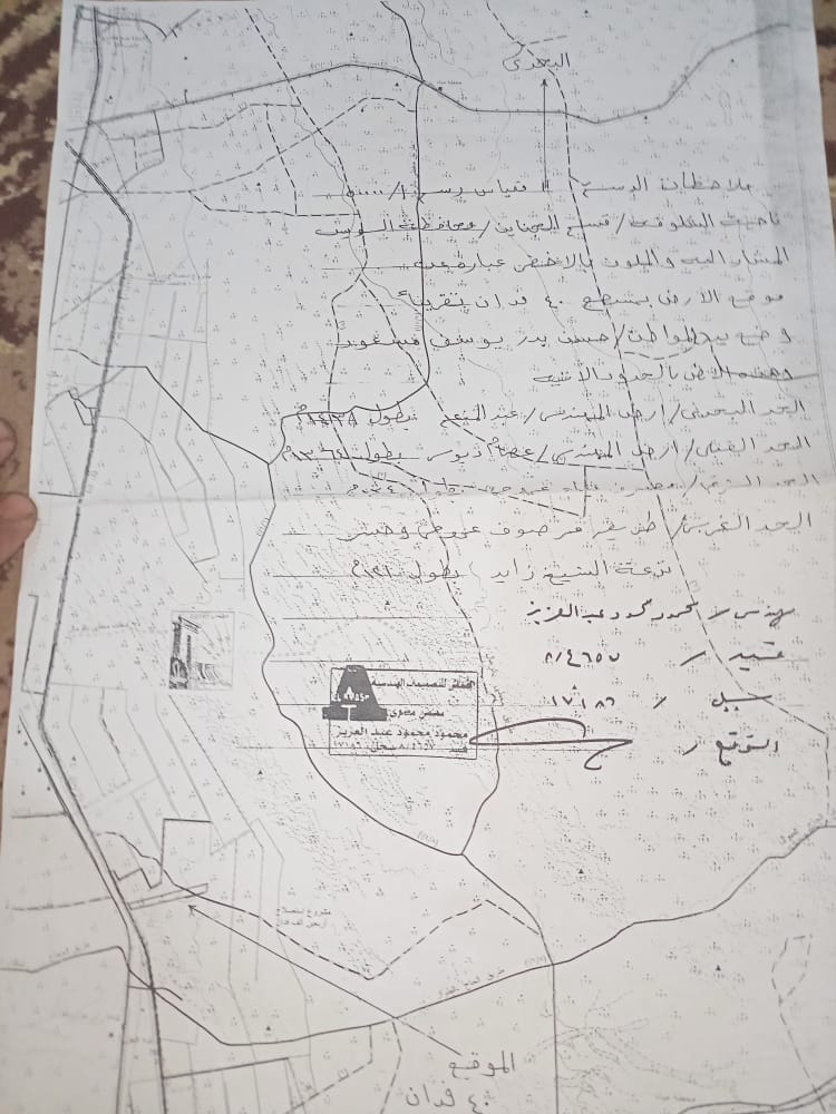 مزرعة مانجو للبيع