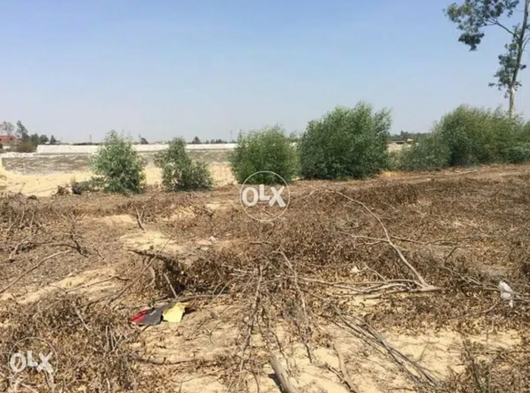 للاستثمار مزرعه بطريق السادات