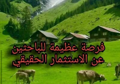 IMG_٢٠٢٢٠٦٢٦_٢١٠٨٥٩