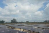 الطاقة الشمسية في مجال المنازل والزراعة