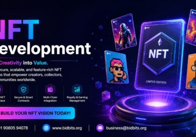 NFT-Development-BidBits